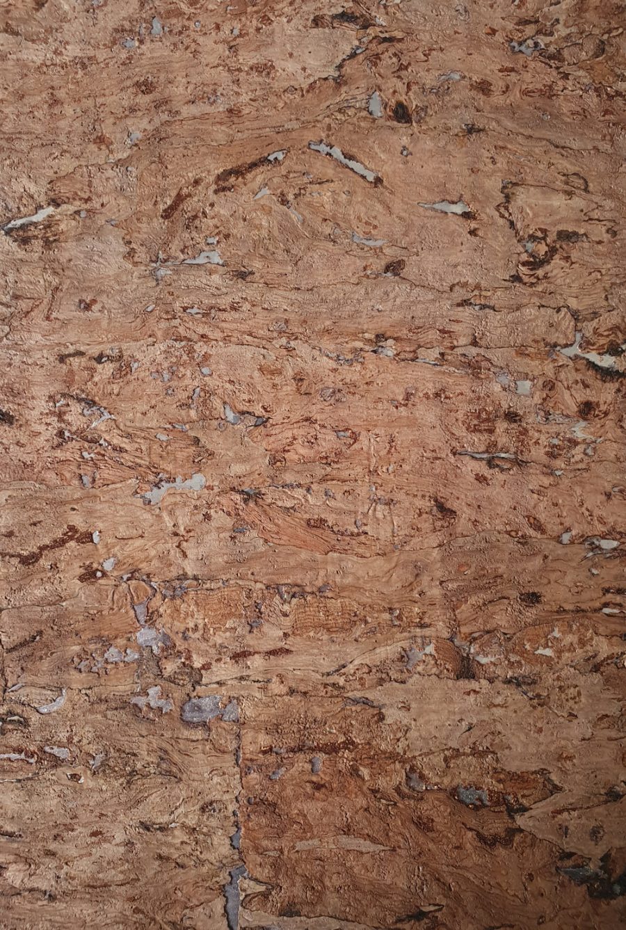 Cork D4W1013