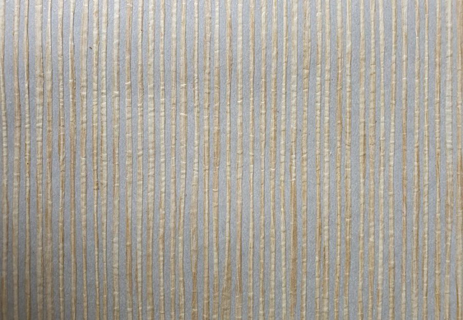 String PSRS001