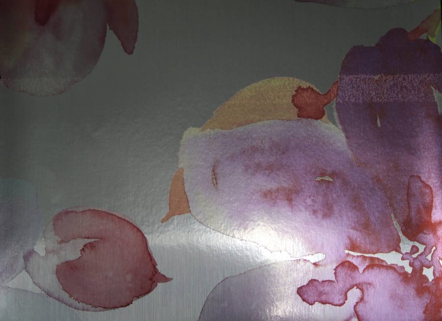 Florals & Botanics - LTD00480 - Image 2