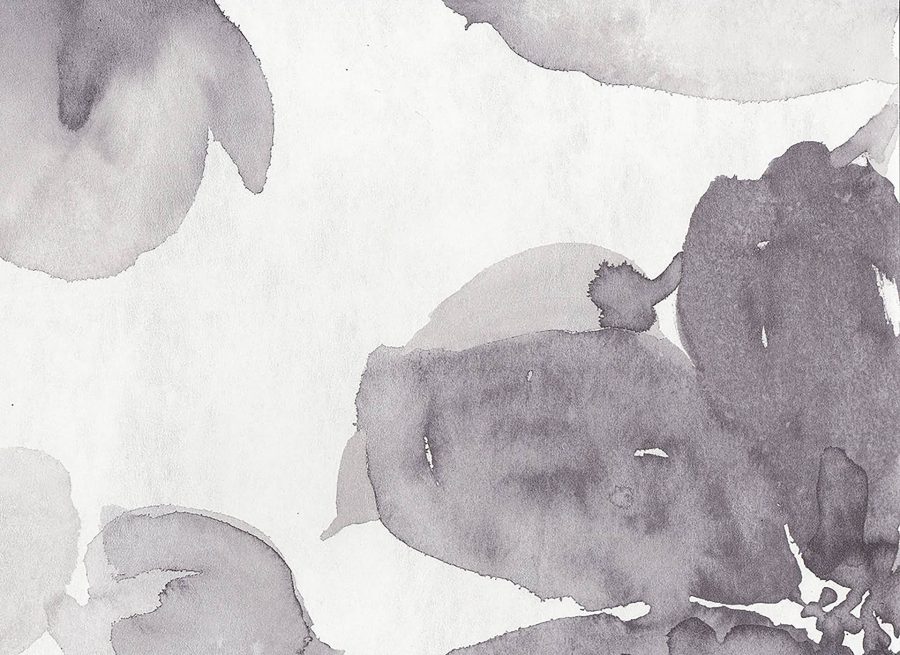 Florals & Botanics - LTD00496 - Image 2
