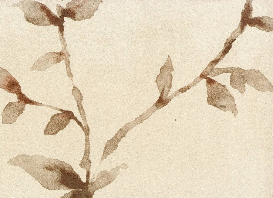 Florals & Botanics - LTD00504 - Image 2