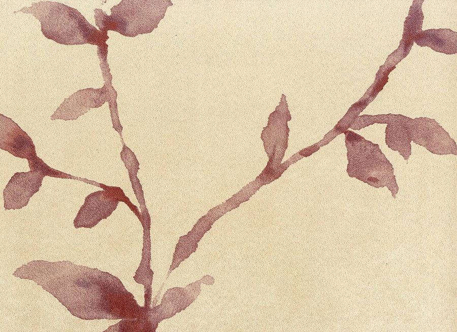 Florals & Botanics - LTD00505 - Image 2