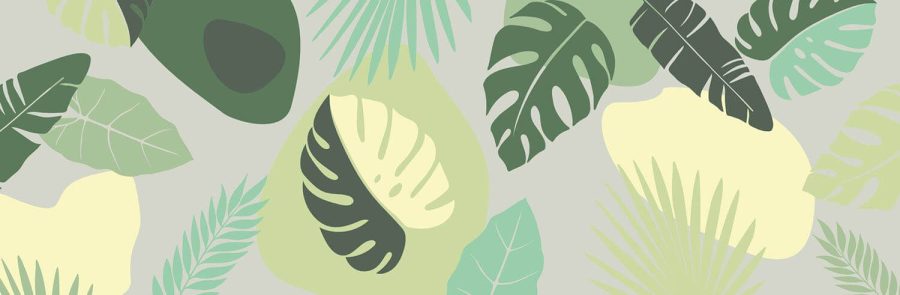 Tropical003 - Image 2