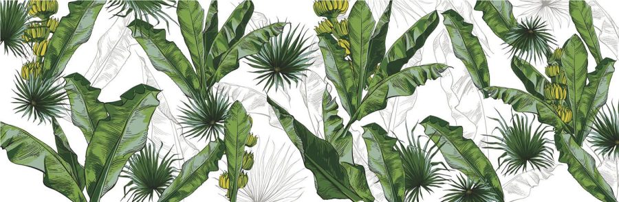 Tropical005 - Image 2