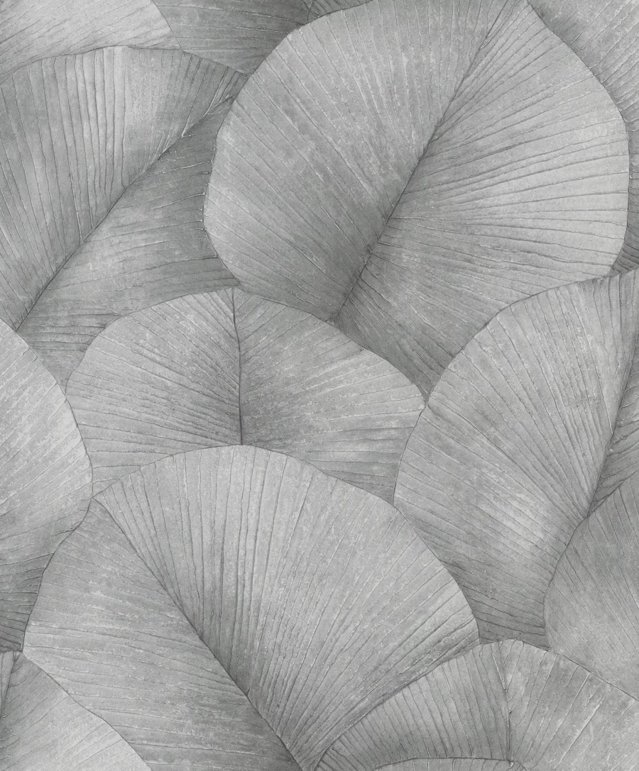 MARC34508 - Image 2