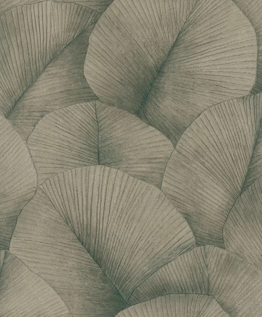 MARC34513 - Image 2