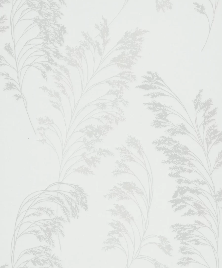 MARC82342 - Image 2